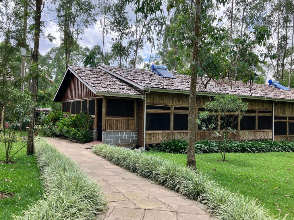 The Great Outdoors is an eco-friendly forest resort in Kalanamu, 45 minutes outside Kampala, with garden views ideal for saying "I do." Image Source: www.greatoutdoorsuganda.com